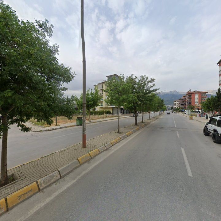 Fotoğraf 10