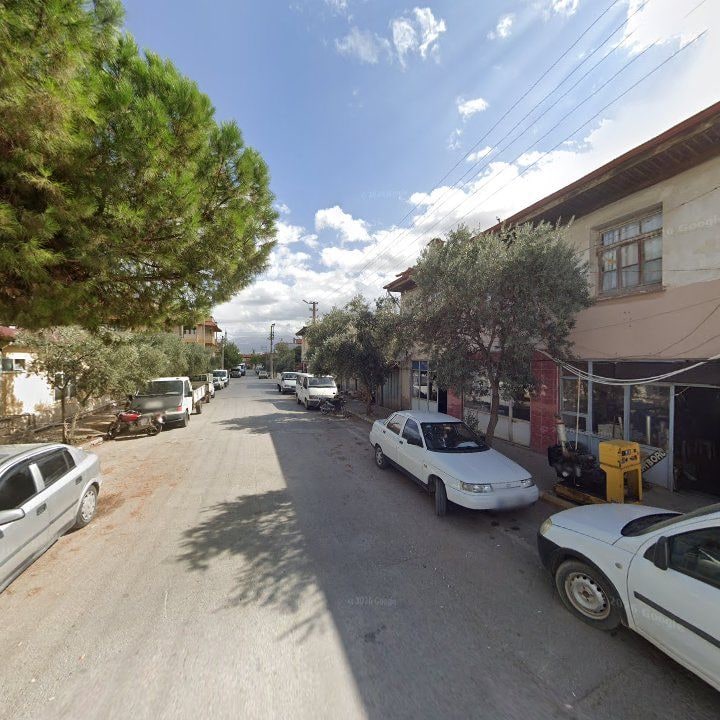 Fotoğraf 12
