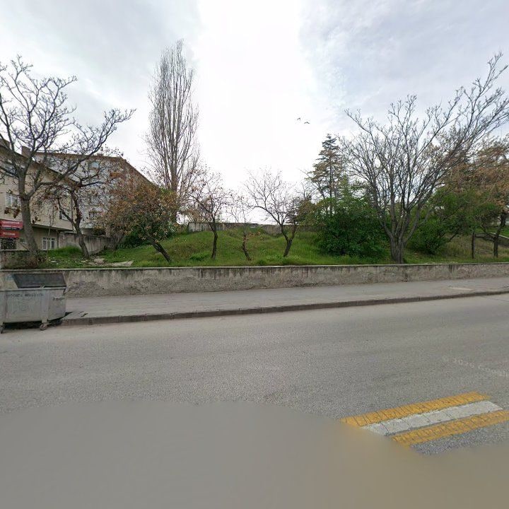 Fotoğraf 9