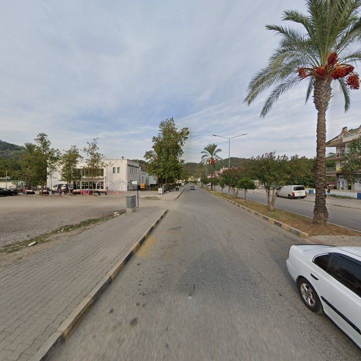 Fotoğraf 8
