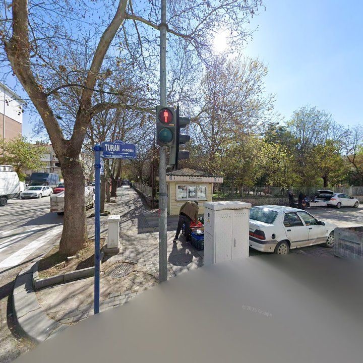 Fotoğraf 9