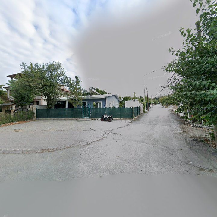 Fotoğraf 8