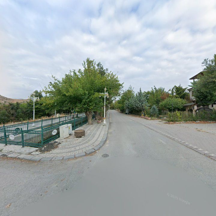 Fotoğraf 11