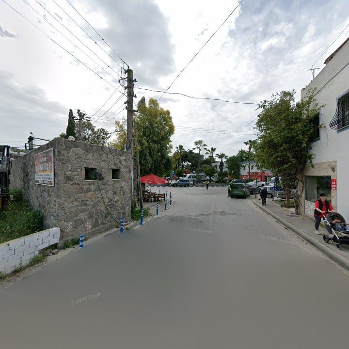 Fotoğraf 12