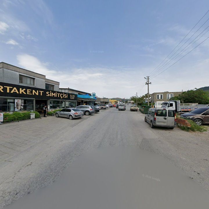 Fotoğraf 10