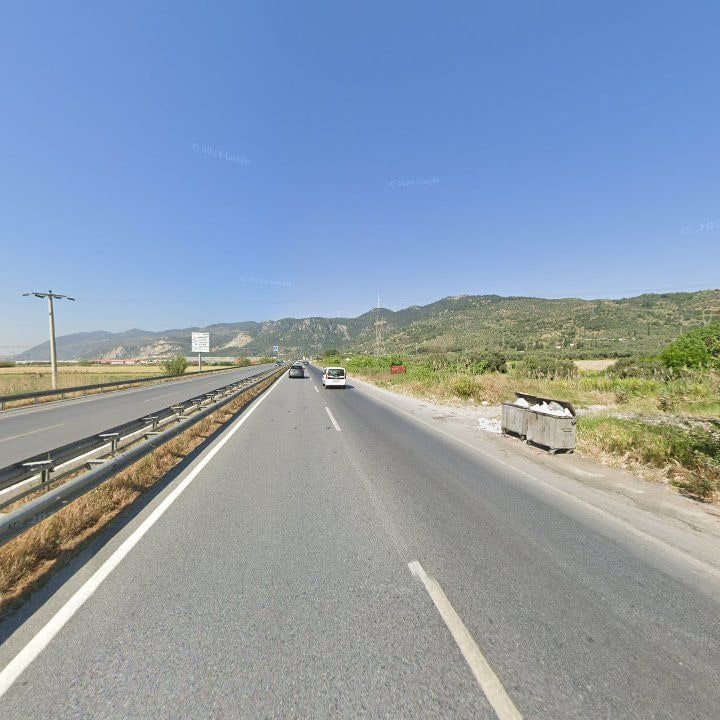 Fotoğraf 12