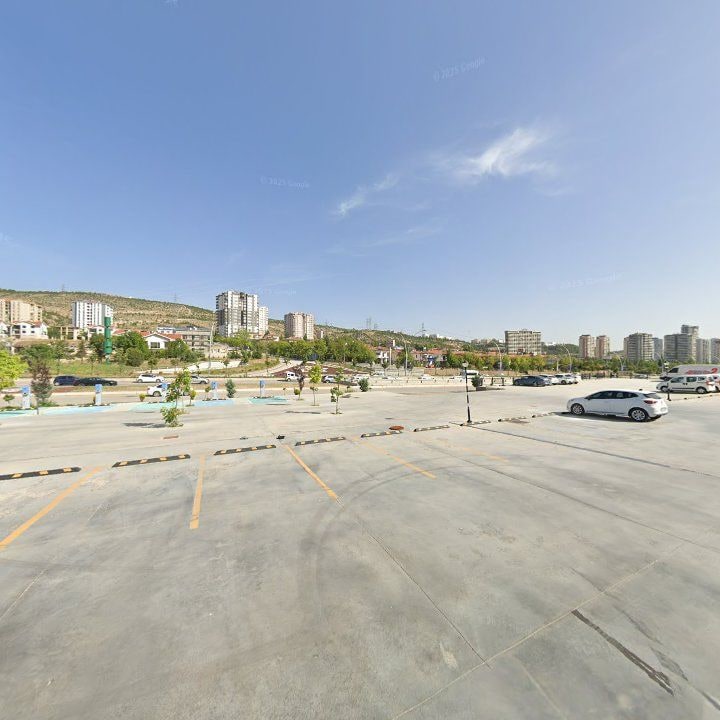 Fotoğraf 11