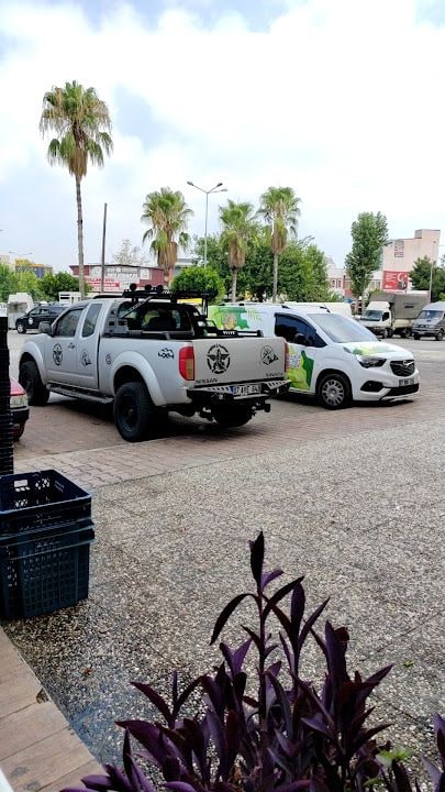 Fotoğraf 3