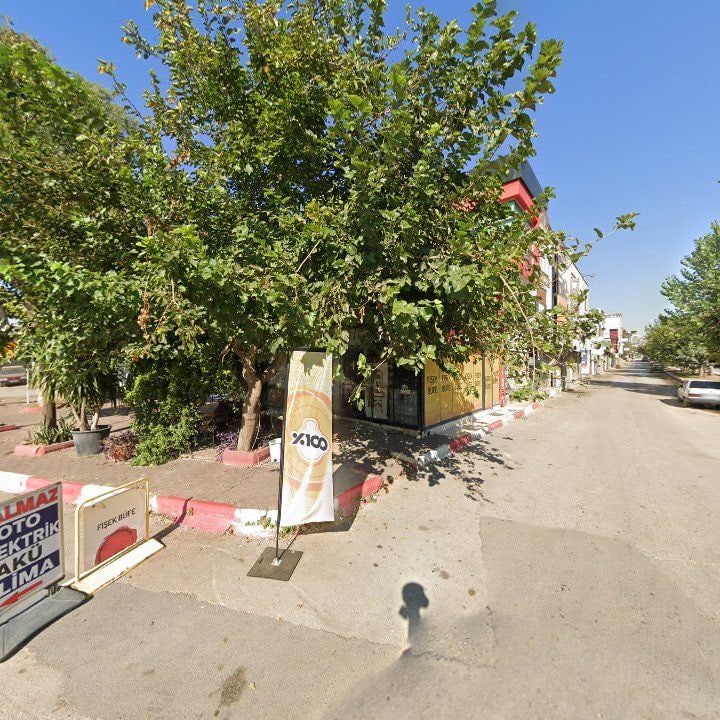 Fotoğraf 9