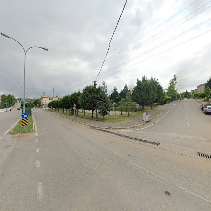 Fotoğraf 12