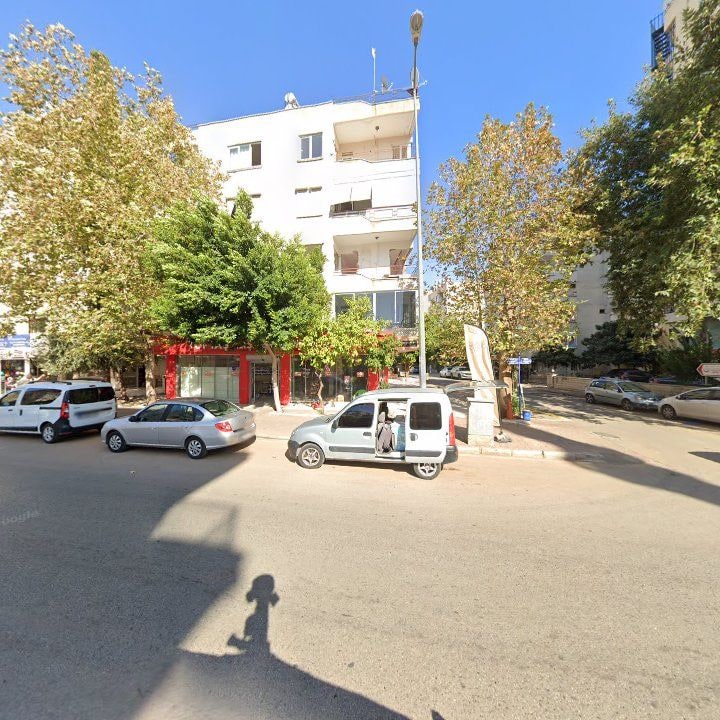 Fotoğraf 8