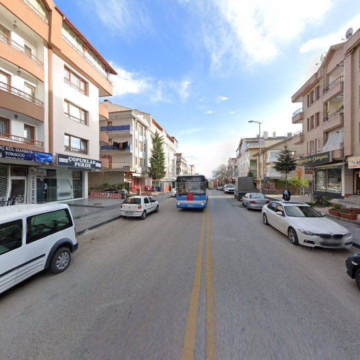 Fotoğraf 9