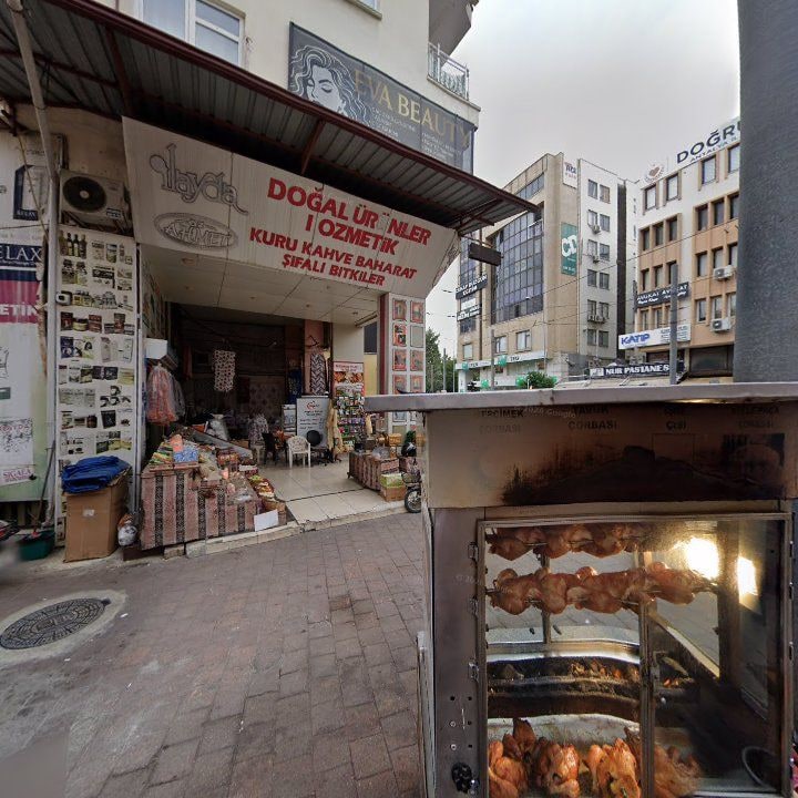 Fotoğraf 7