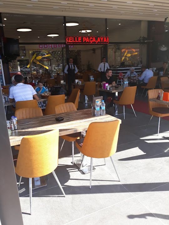 Fotoğraf 6