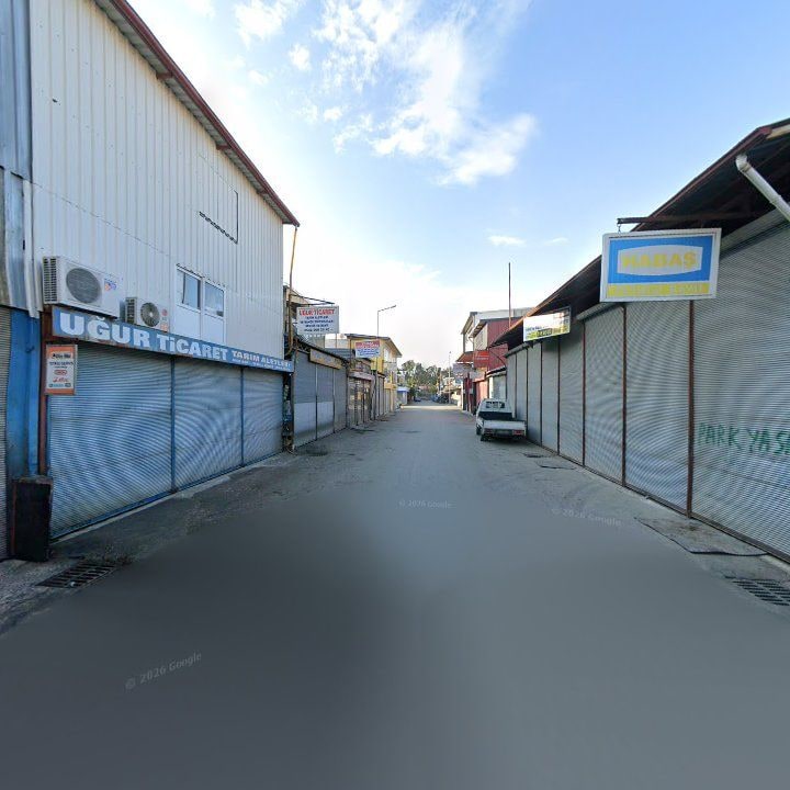 Fotoğraf 9