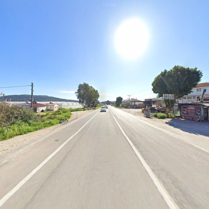 Fotoğraf 10