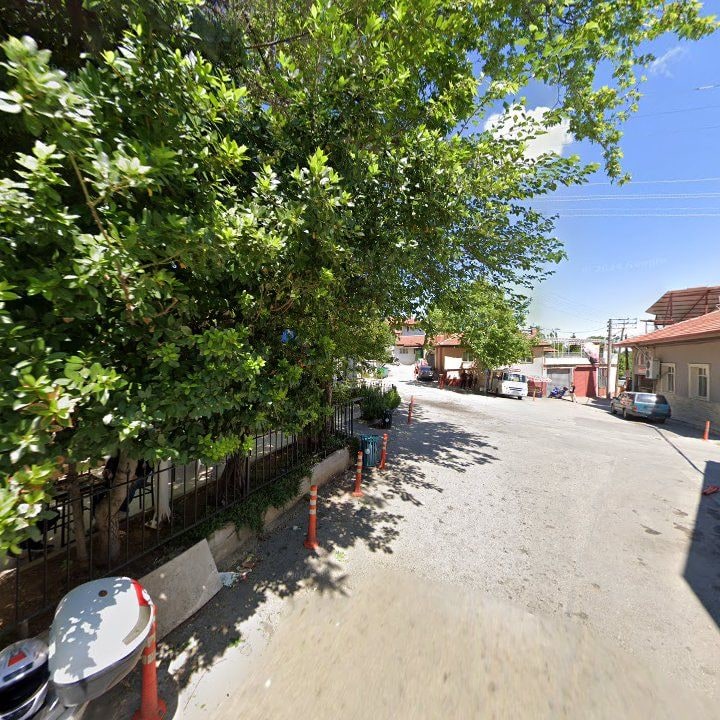 Fotoğraf 9