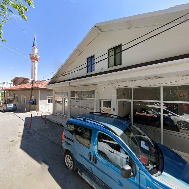 Fotoğraf 10
