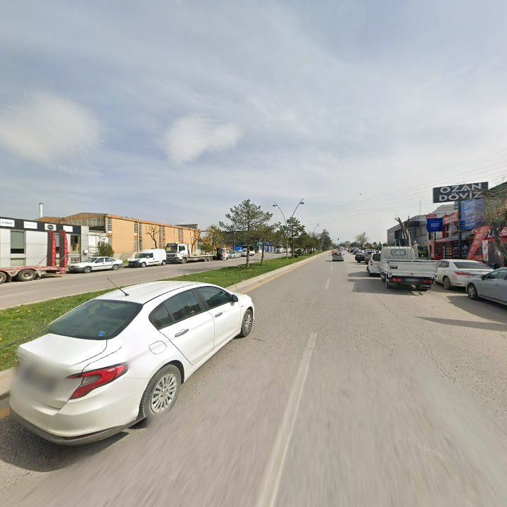 Fotoğraf 12