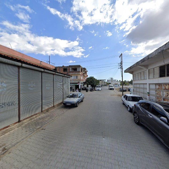 Fotoğraf 7