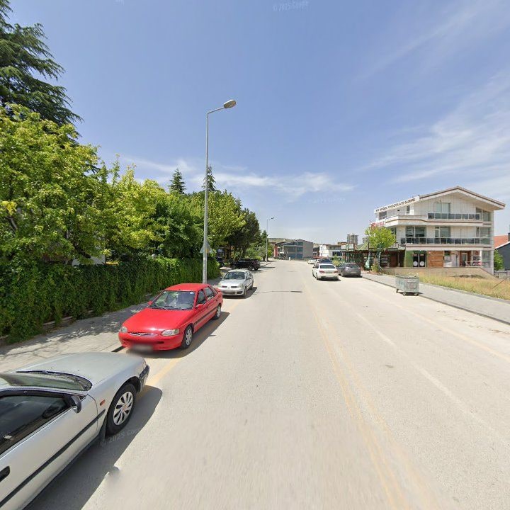 Fotoğraf 8