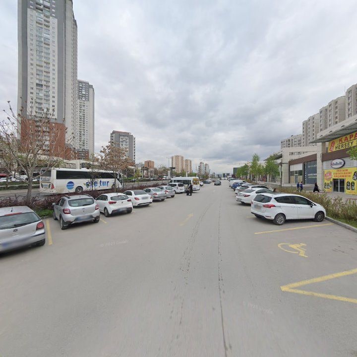 Fotoğraf 11