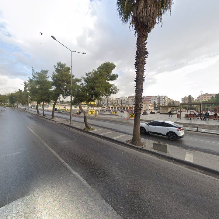 Fotoğraf 8