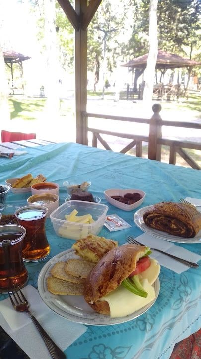 Metin Usta