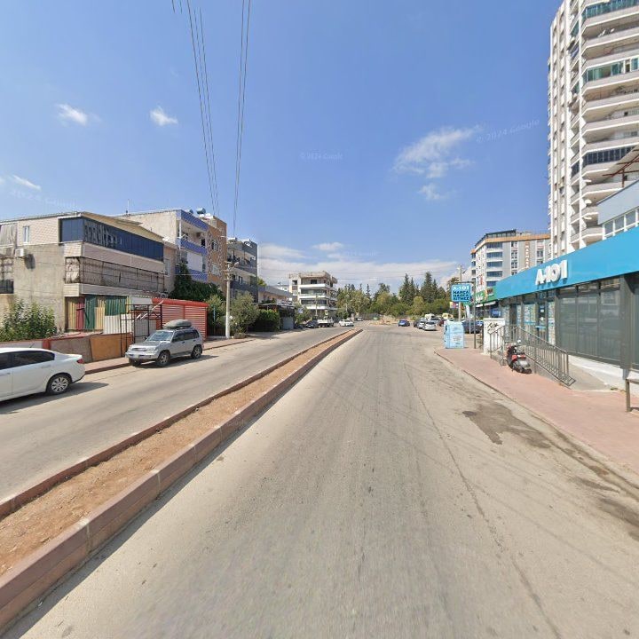 Fotoğraf 8