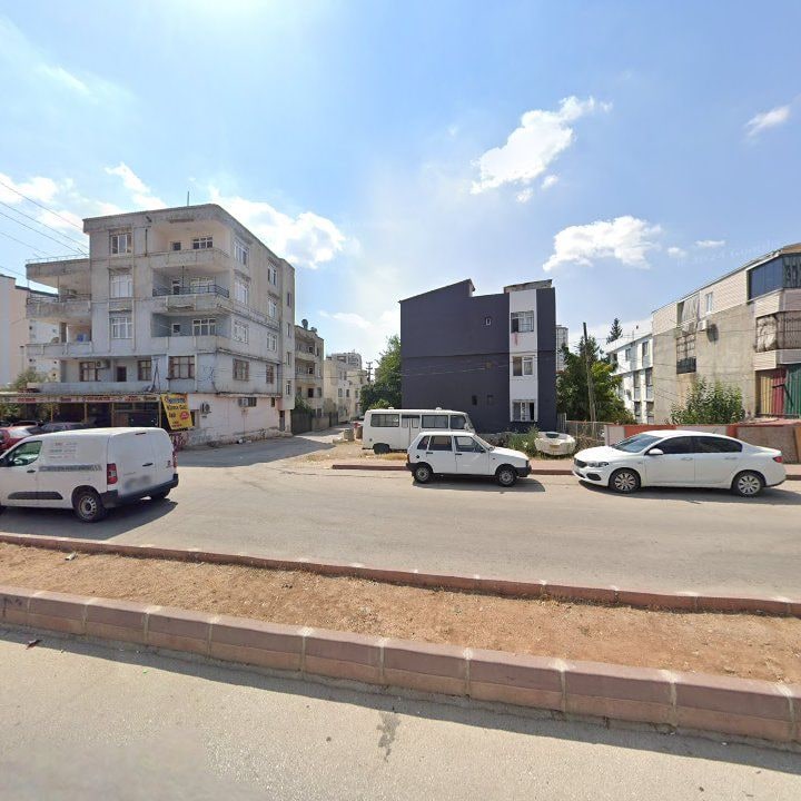 Fotoğraf 7