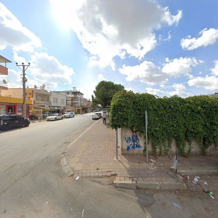 Fotoğraf 5