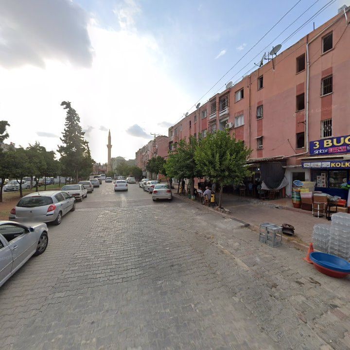 Fotoğraf 9