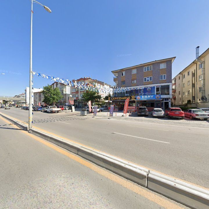 Fotoğraf 12