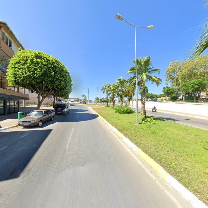 Fotoğraf 9