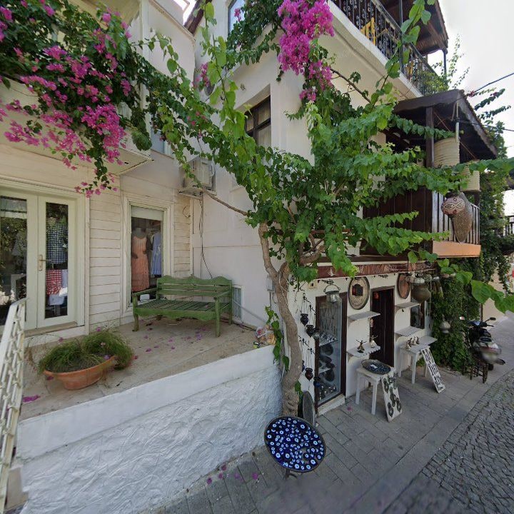 Fotoğraf 11