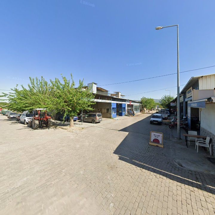Fotoğraf 7