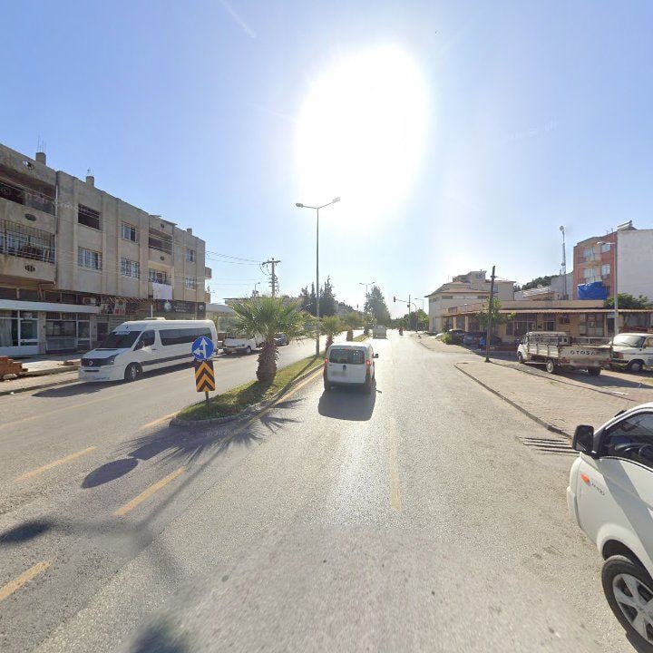Fotoğraf 12
