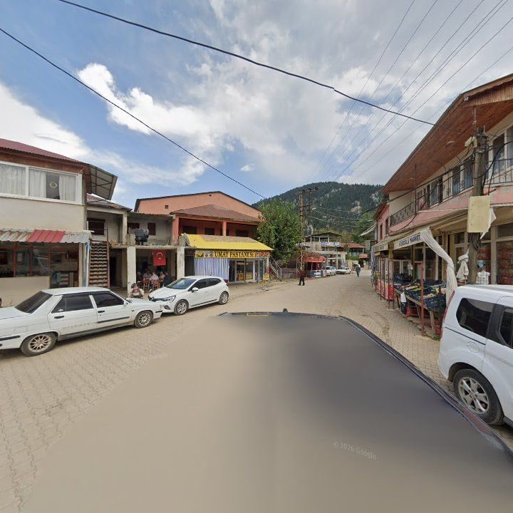 Fotoğraf 7