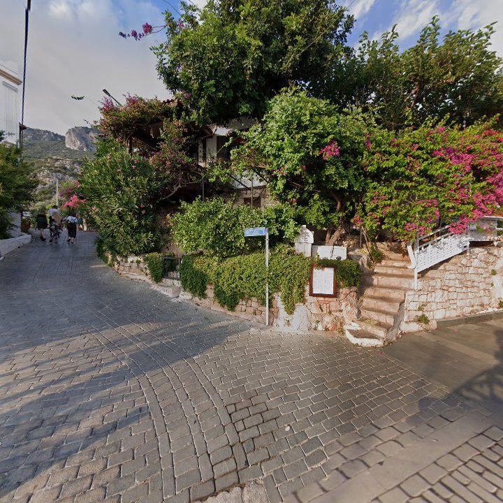 Fotoğraf 8