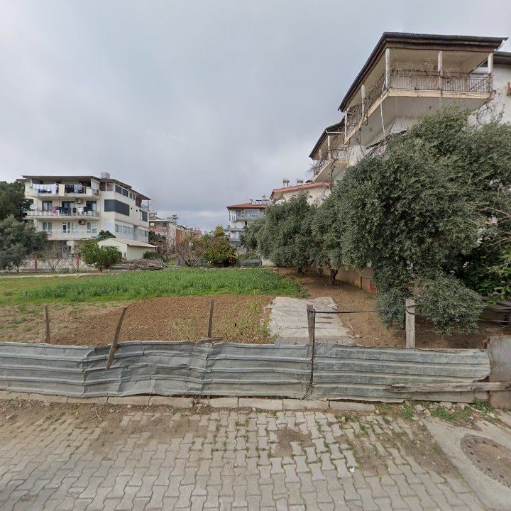 Fotoğraf 15