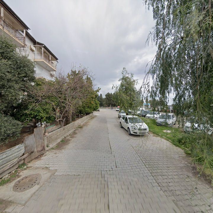 Fotoğraf 16