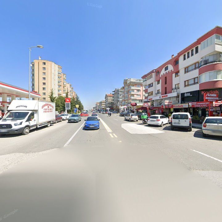 Fotoğraf 8