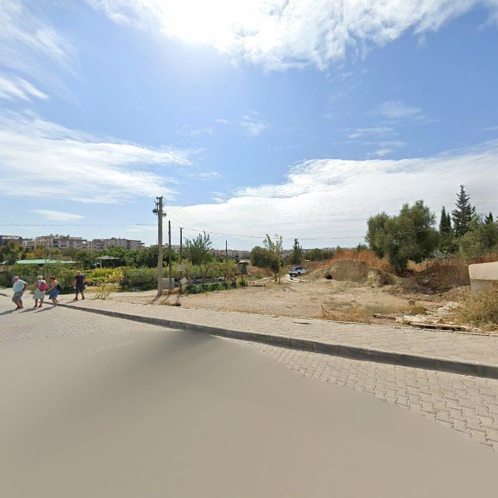Fotoğraf 6