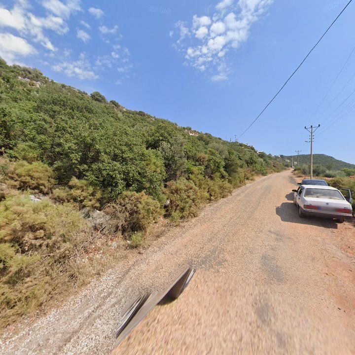 Fotoğraf 10