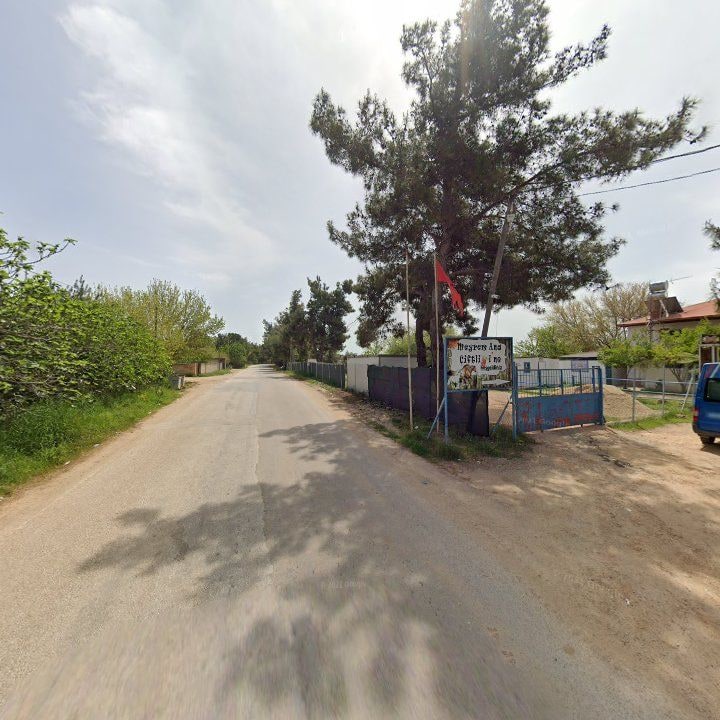 Fotoğraf 12
