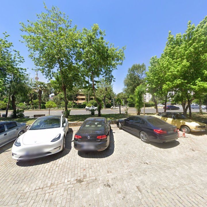 Fotoğraf 10