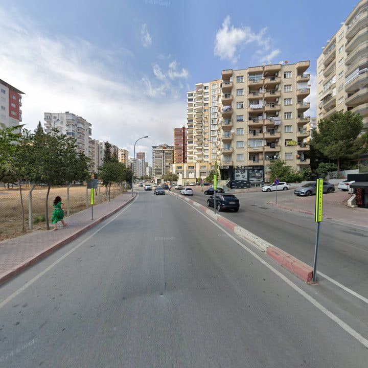 Fotoğraf 8