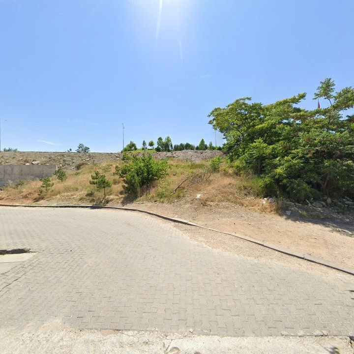 Fotoğraf 10