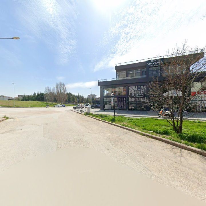 Fotoğraf 10
