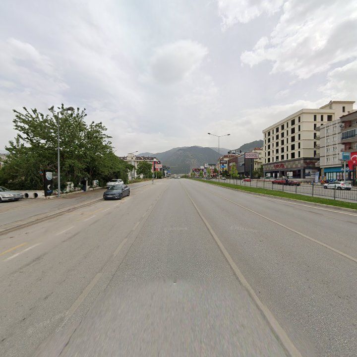Fotoğraf 10